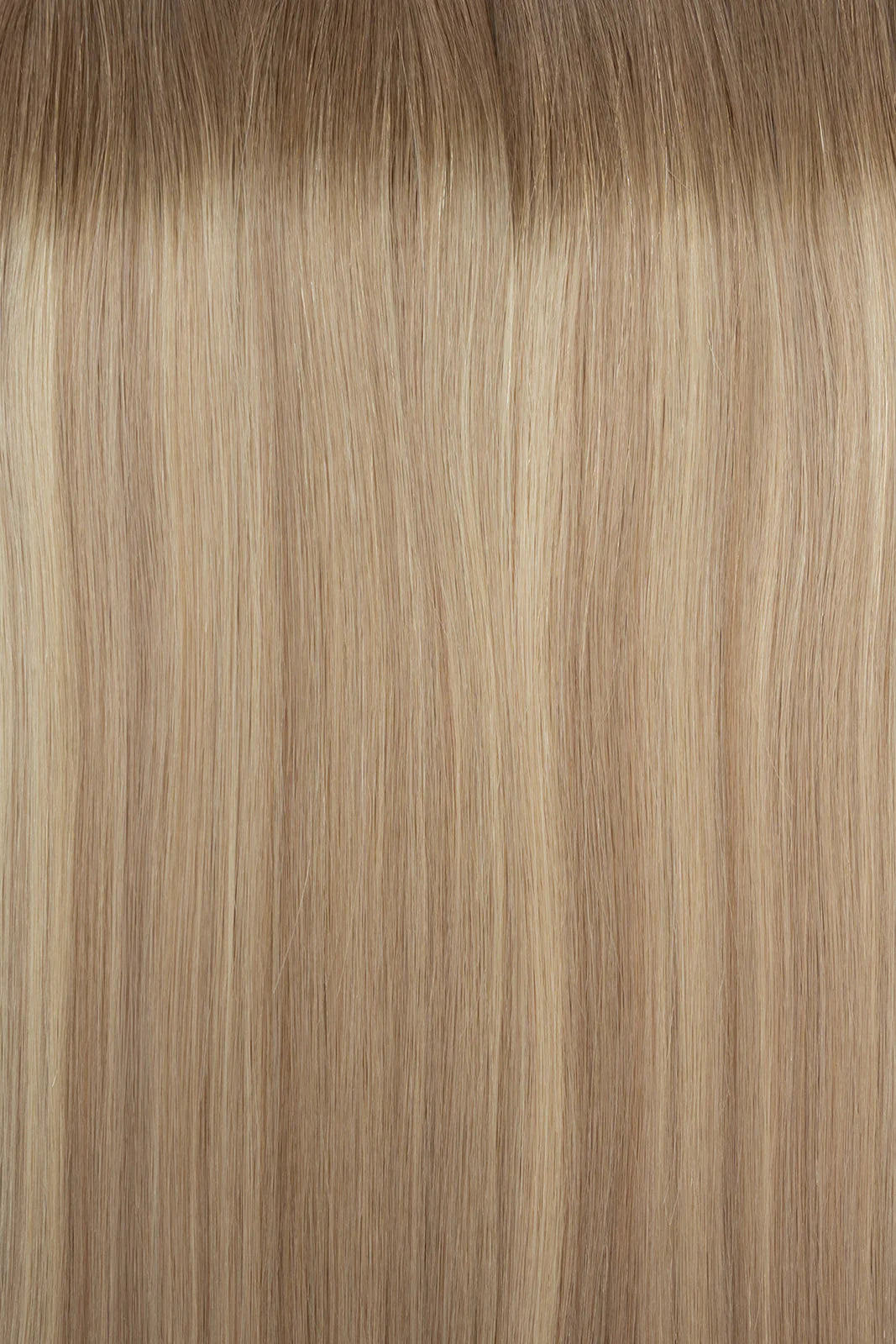 Tape In (Light Ash Brown–Blonde Mix)